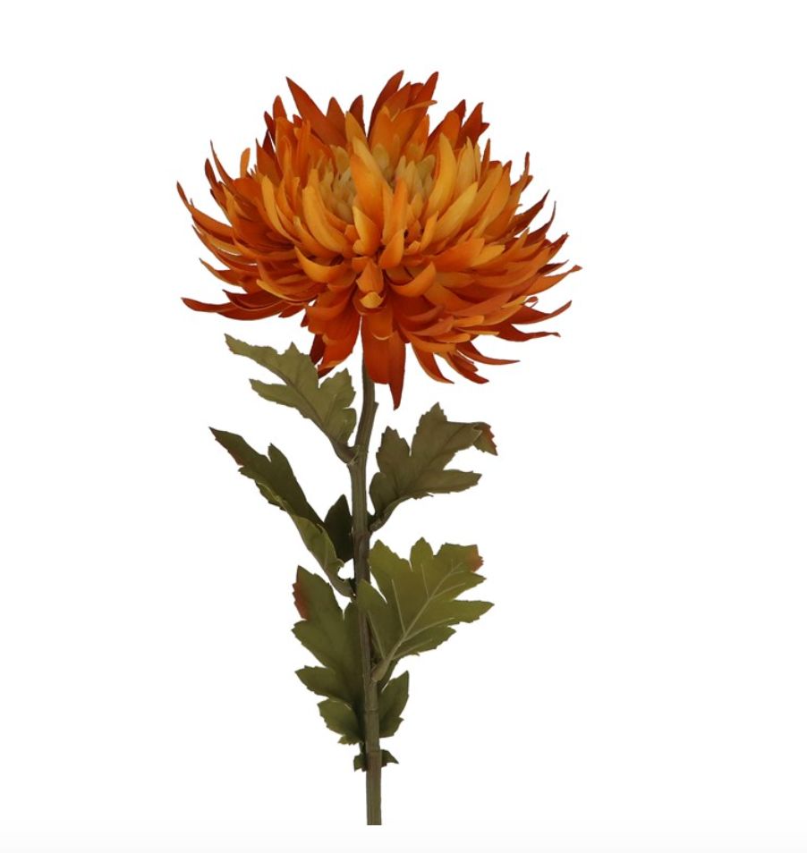 Golden Yellow Chrysanthemum Stem