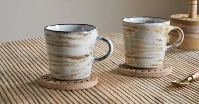 Vizo Grey Mug