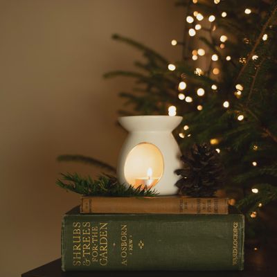 Winter Wax Melt Gift Set