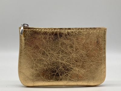 Do Metallic Purse