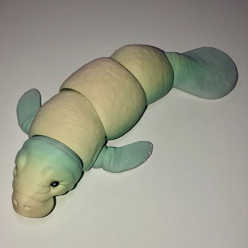 Articulated Manatee