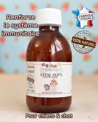 Renforce les défenses immunitaire / Sirop 100% phytothérapie