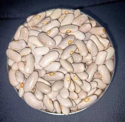 Hashil white Rajma
