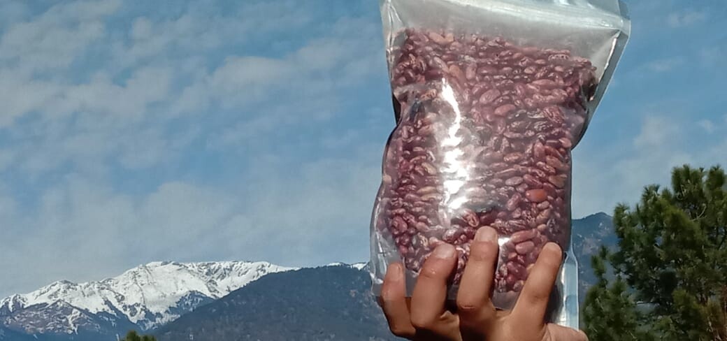 Himalayan Chitra Rajma