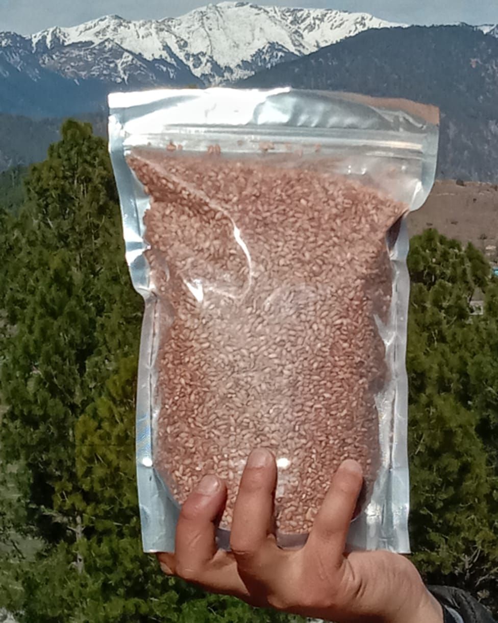 Himalayan red rice