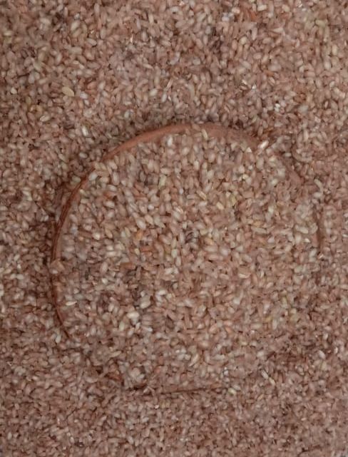 Himalayan red rice