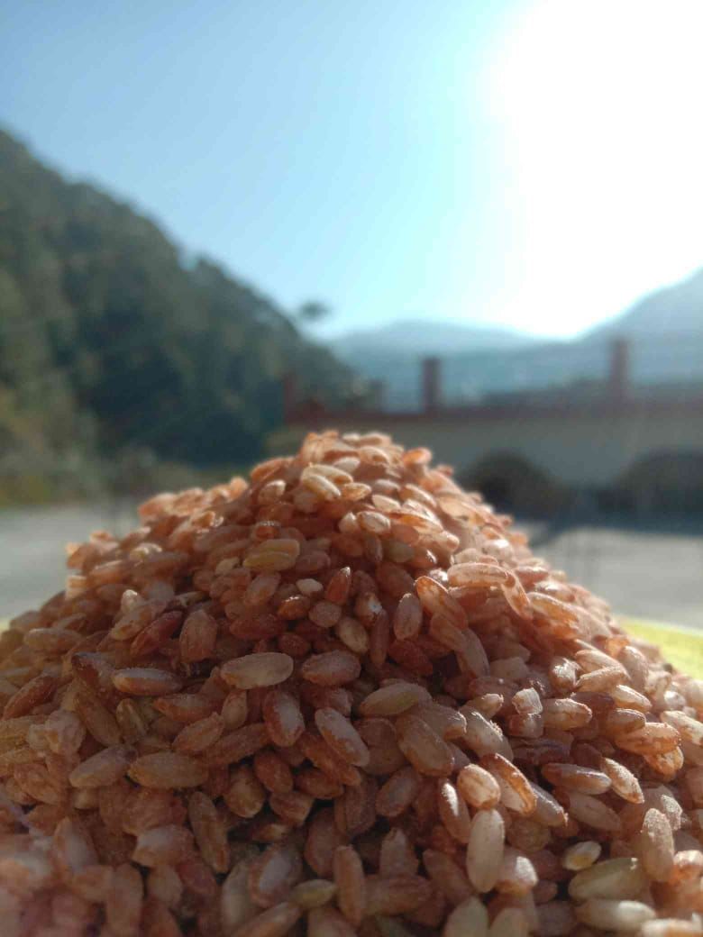 Himalayan red rice