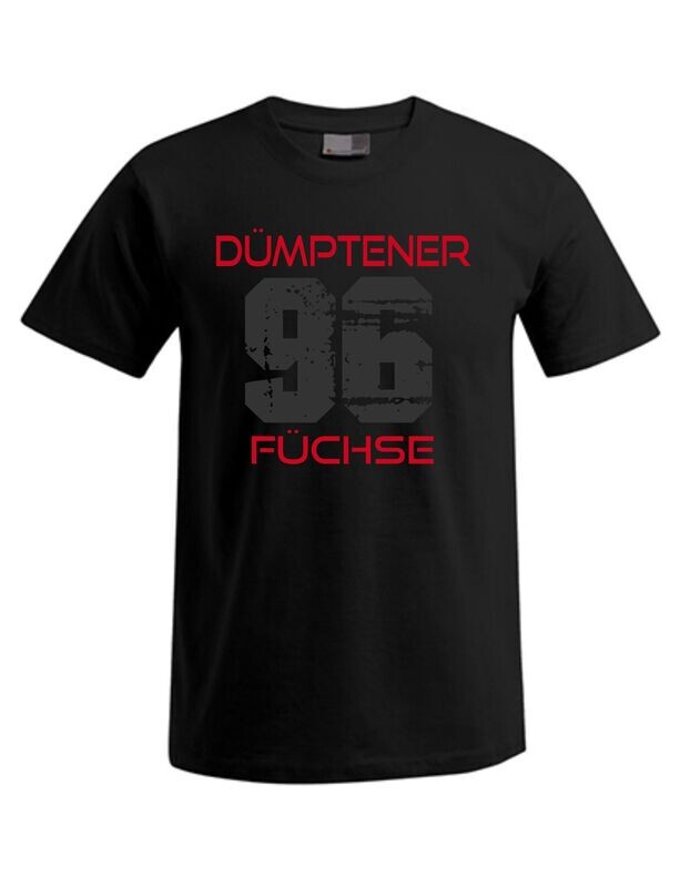 Kinder T-Shirt Dümptener Füchse 96