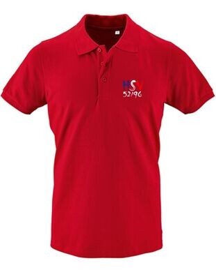 Herren Polo HSV klein