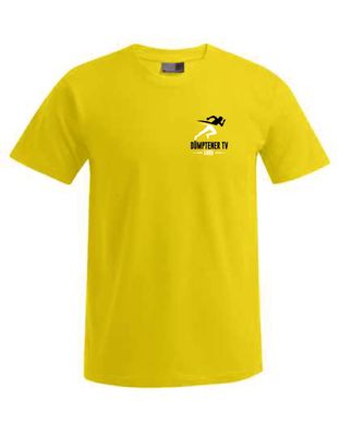 DTV 2 T-Shirt Basic Logo klein