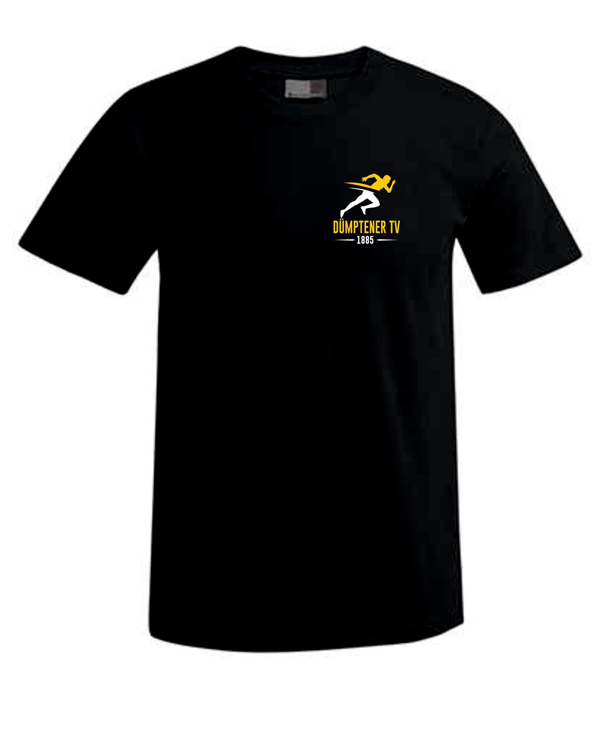 DTV 2 T-Shirt Basic Logo klein