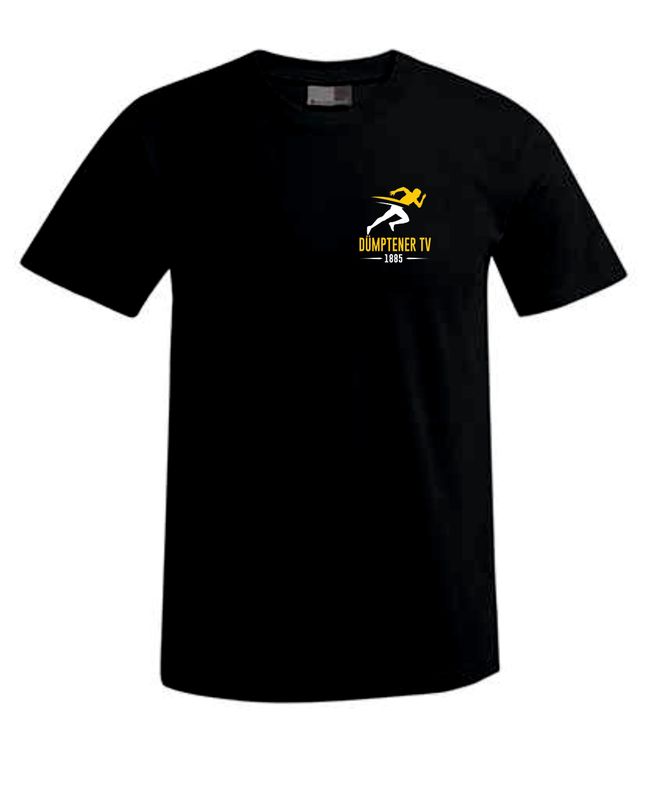 DTV 2 T-Shirt Basic Logo klein