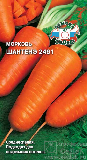 Морковь Шантанэ 2461