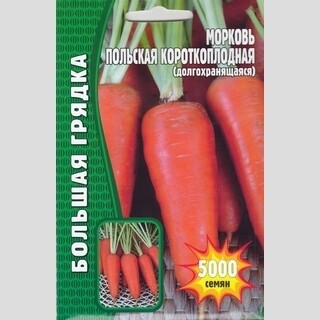 Морковь Польская короткоплодная