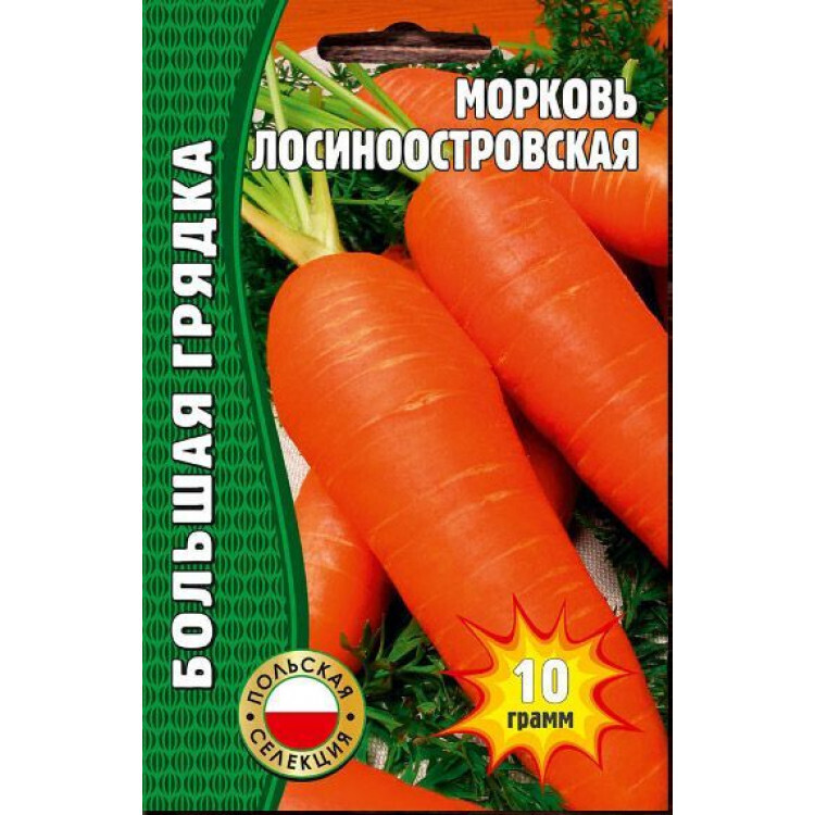 Морковь Лосиноостровская