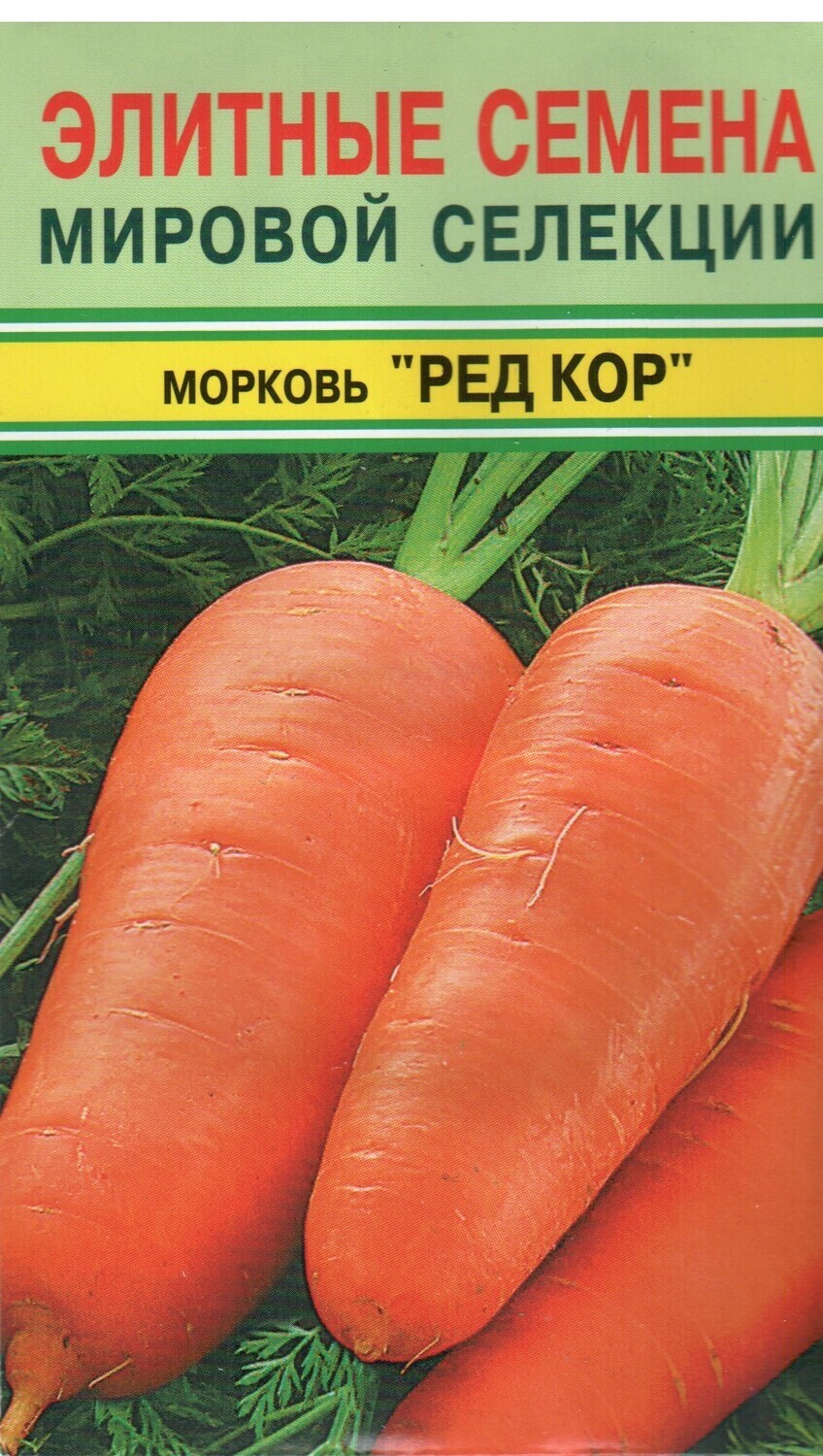 Морковь Шантане Ред кор