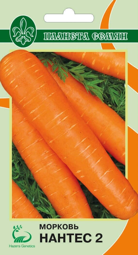 Морковь Нантес 2