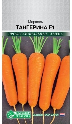 Морковь Тангерина F1