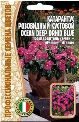 Катарантус розовидный кустовой Ocean Deep Orhid Blue