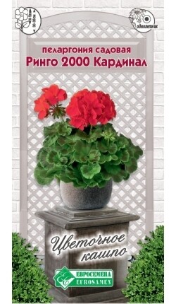 Пеларгония садовая (герань) Ринго 2000 Кардинал