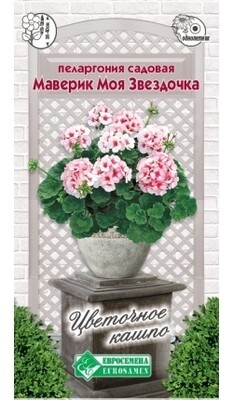 Пеларгония садовая Маверик Моя звездочка