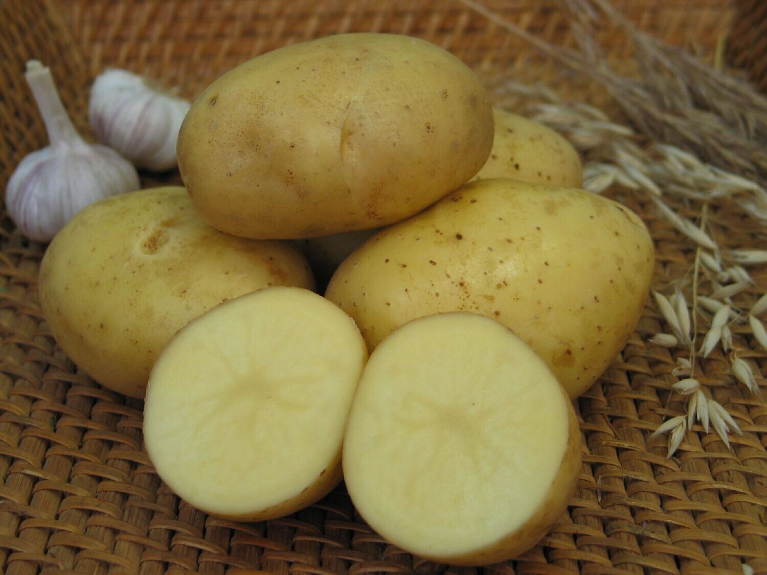Картофель семенной Триумф (элита) 1 кг