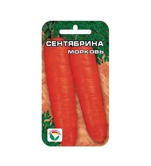 Морковь Сентябрина