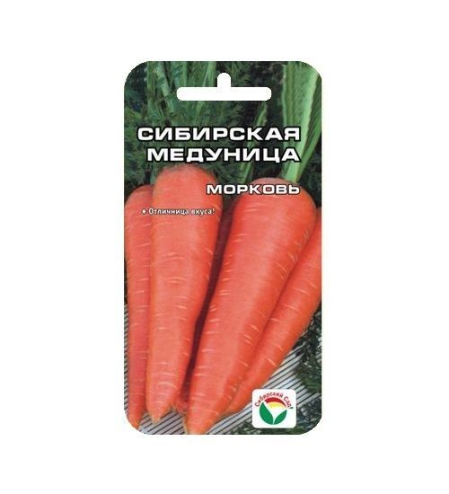 Морковь Сибирская медуница