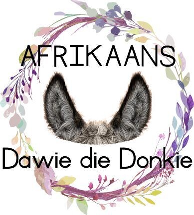 Dawie die Donkie stap saam met Jesus
