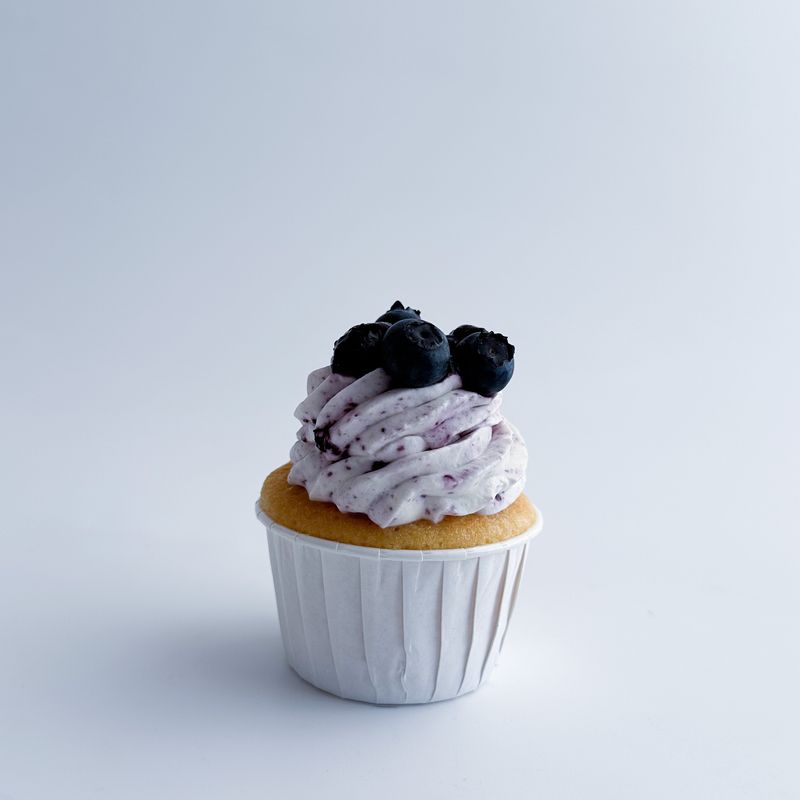 Heidelbeer (ab 6 St)