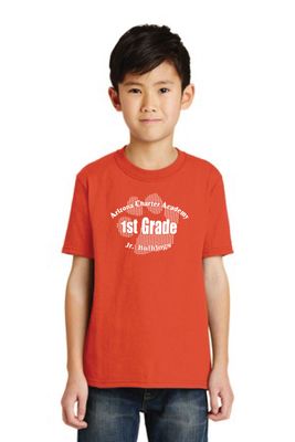 ACA - 13 - GRADE LEVEL T-SHIRTS