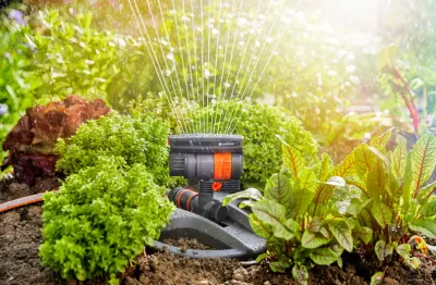 Sprinklers