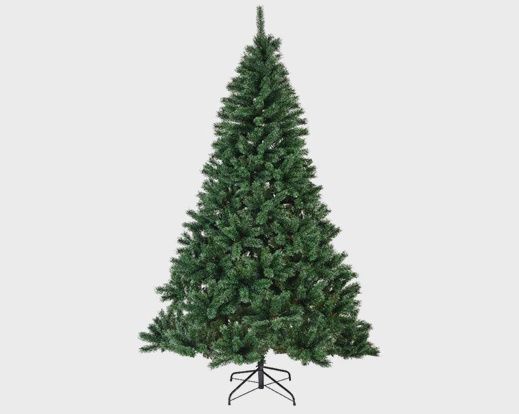 Canada Spruce - 6ft - 180cm