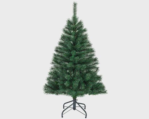 Canada Spruce - 4ft - 120cm