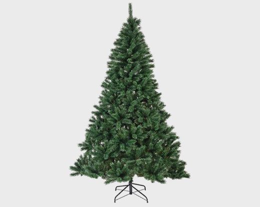Canada Spruce - 7ft - 210cm