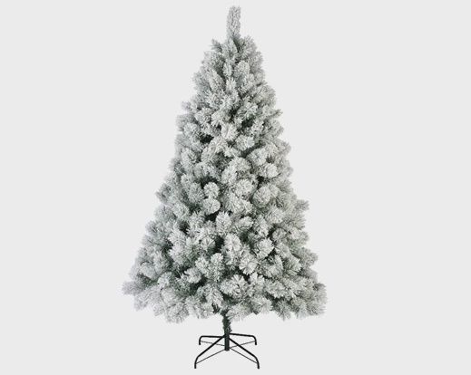 Snowy Vancouver Pine - 6ft - 180cm