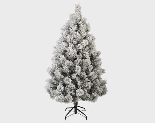 Snowy Vancouver Pine - 5ft - 150cm
