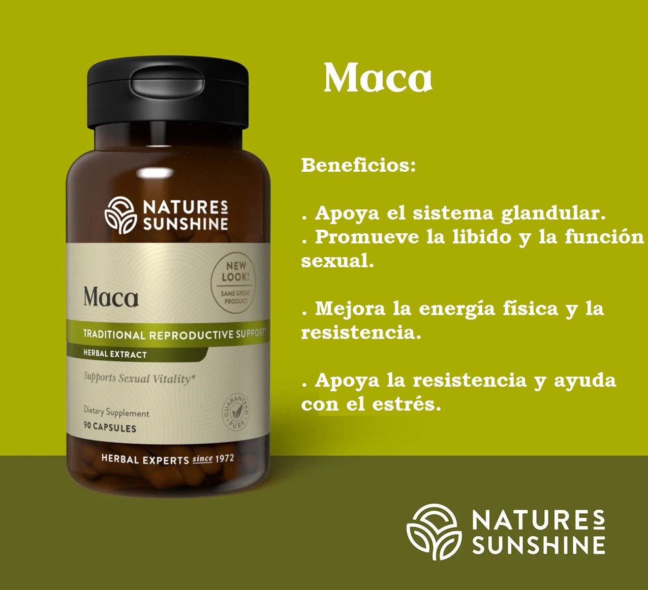 Maca
