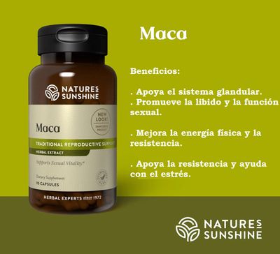 Maca