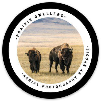 Prairie Dwellers Sticker
