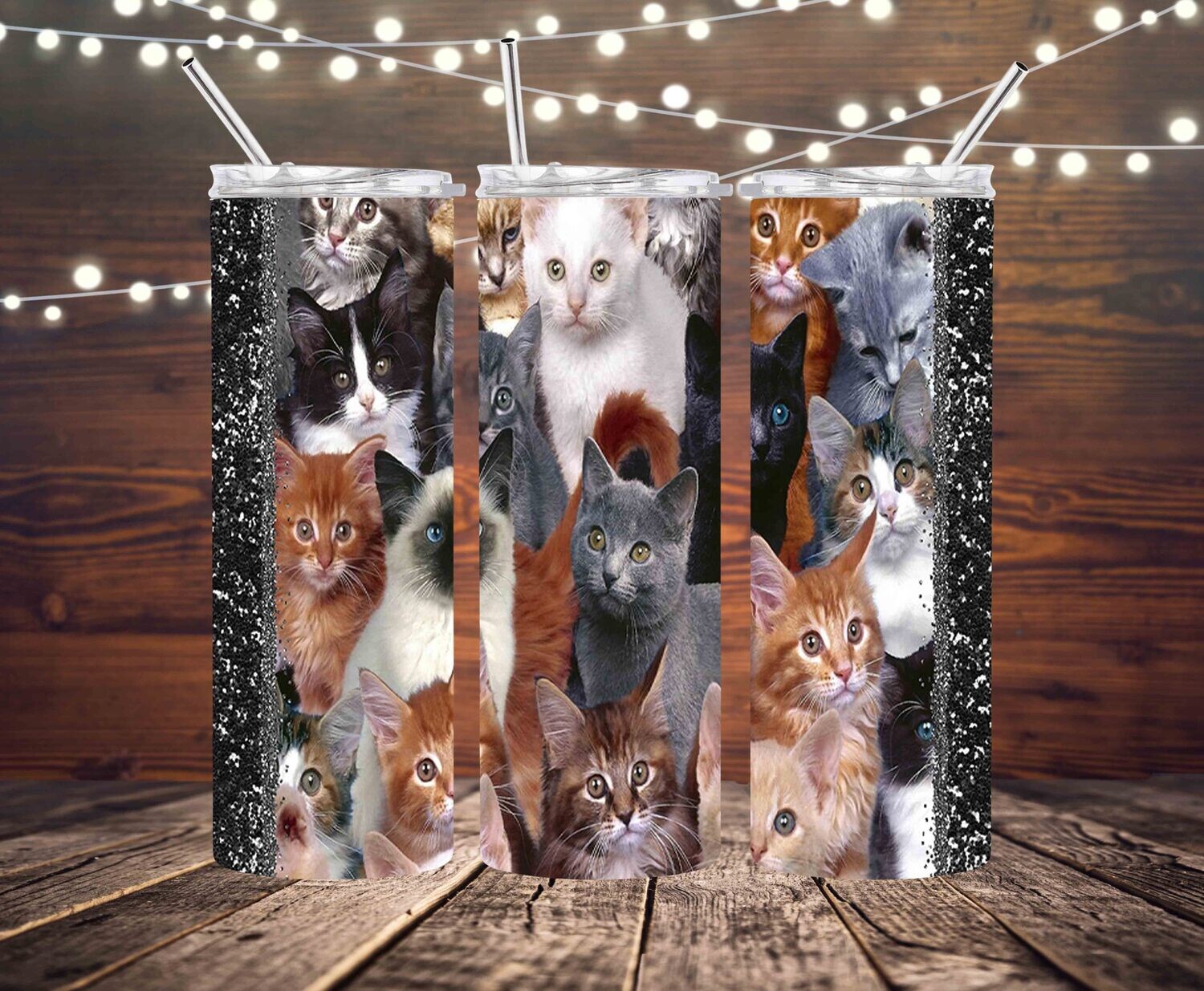 Cute cats