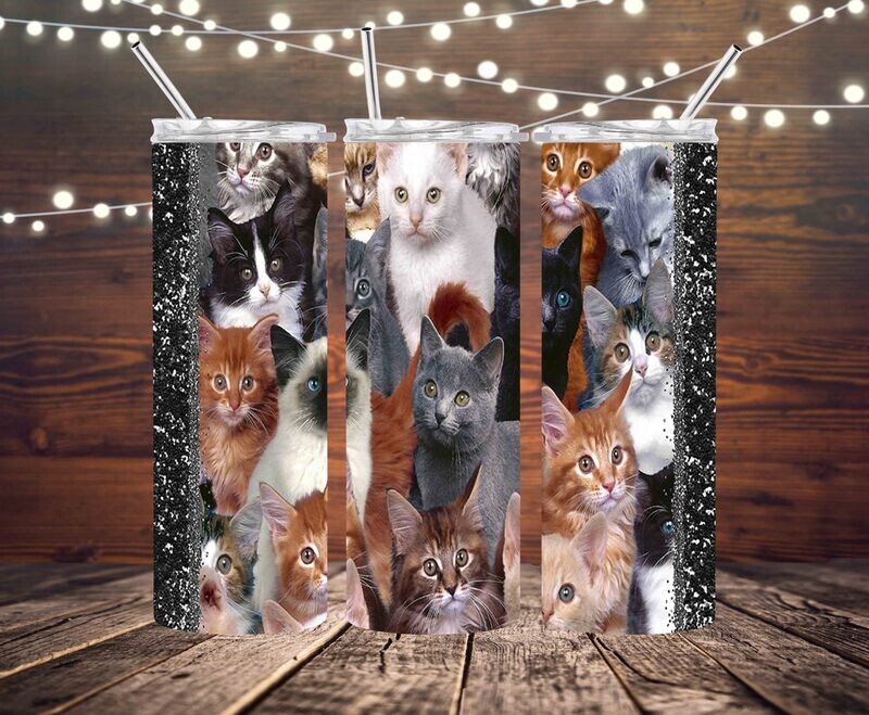 Cute cats