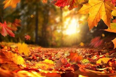 Fall
