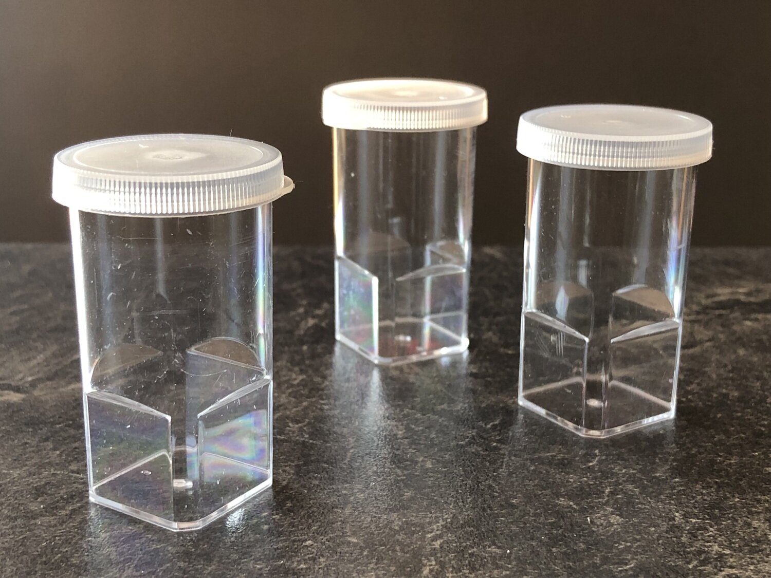 Aufzuchtdose Filmdose 25ml transparent für Vogelspinnen