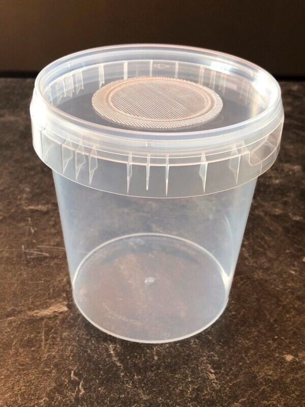 Aufzuchtdose rund mit eingeschweißter Lüftungsgaze 870ml 12,5cm x Ø 11,5