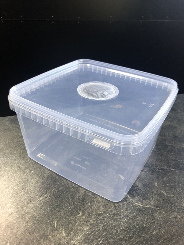 Aufzuchtdose mit Gaze im Deckel eckig 3100 ml 19,5x19,5x11 cm
