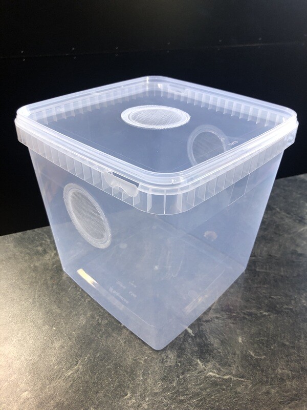 Aufzuchtdose mit Gaze in Deckel und Dose eckig 5100 ml 19,5x19,5x19 cm