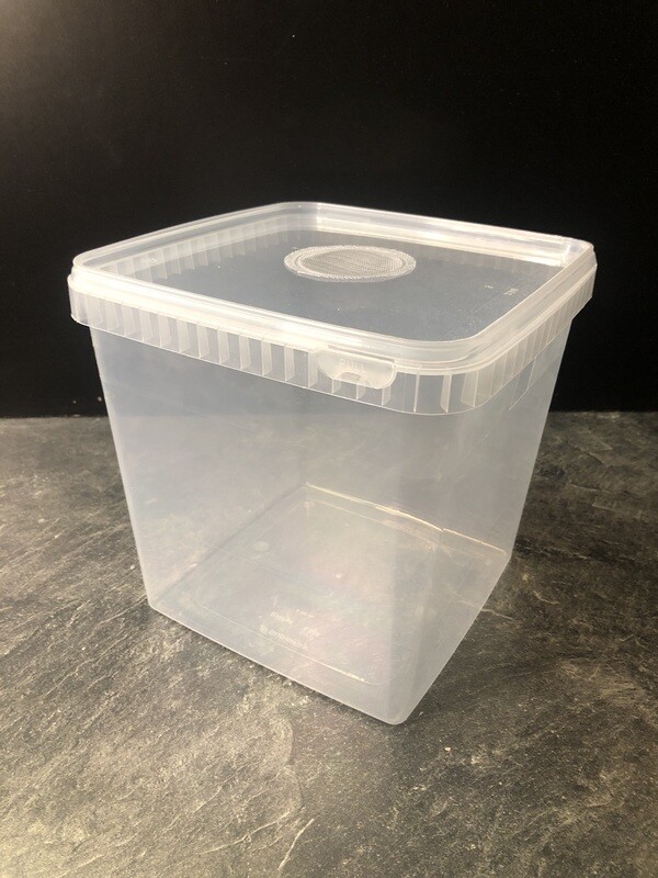 Aufzuchtdose mit Gaze im Deckel eckig 5100 ml 19,5x19,5x19 cm