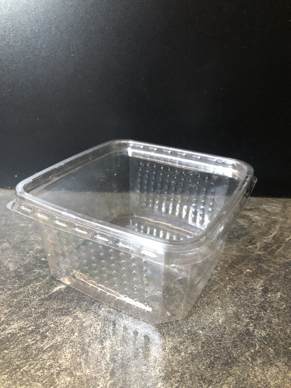 Heimchendose gelocht 10 x 10 x 6cm transparent mit Deckel
