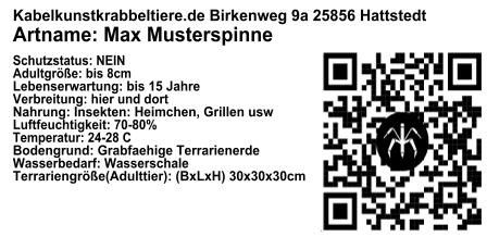 Thrixopelma sp cuzco selbstklebendes Etikett 7,5x4cm